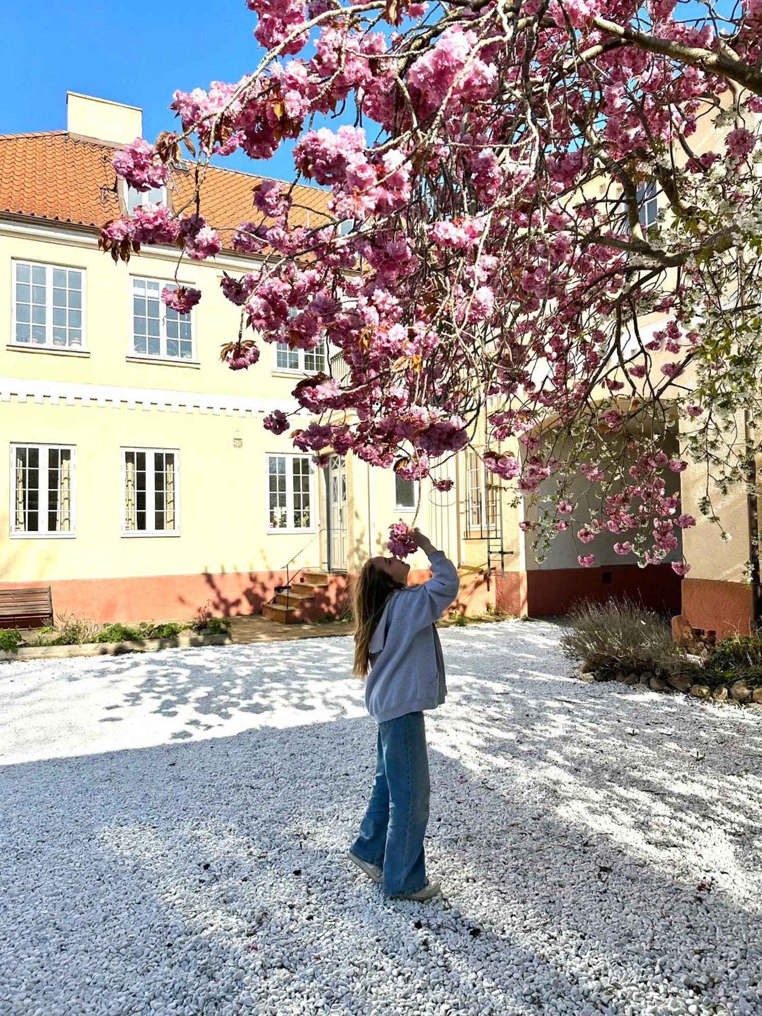 Koepmansgarden Bed & Breakfast Vellinge Quarto foto